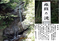 �Y����̑�